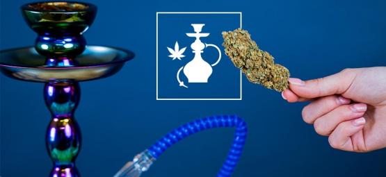 At ryge cannabis i en shisha: Det skal du vide
