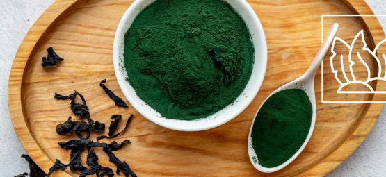 Er chlorella det ultimative superfood?