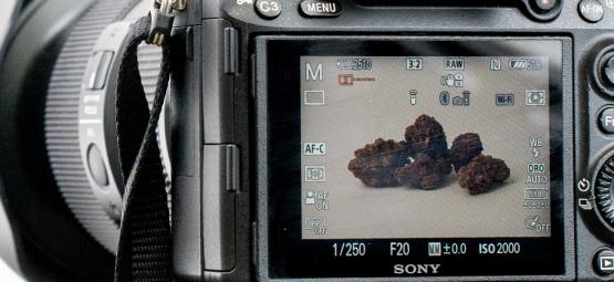 Cannabisfotografering: Sådan tager du billeder i høj kvalitet