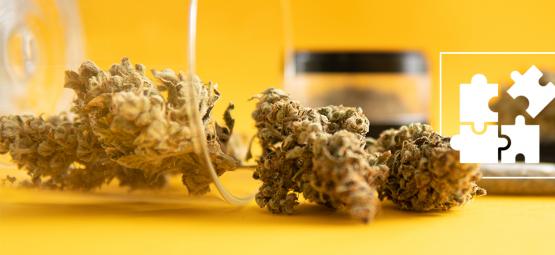 Mikrodosering af THC: hvad er det, og hvordan virker det?