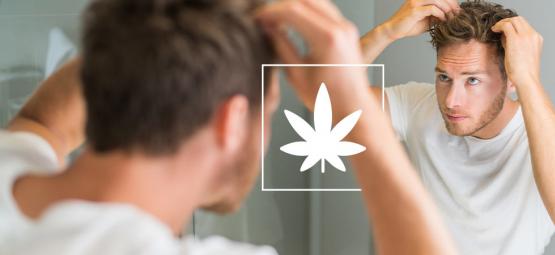 Cannabis’ påvirkning af håret