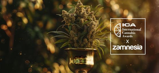 International Cannabis Awards 2024 — Zamnesia vinder stort!