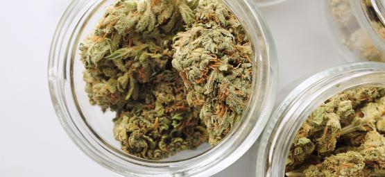 Sådan bygger du et automatiseret system til curing af cannabis: trin for trin