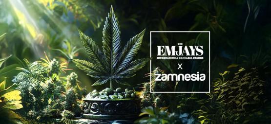 The Emjays – internationale cannabispriser – Zamnesia vinder stort