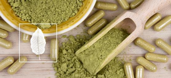 Sådan indtager du kratom