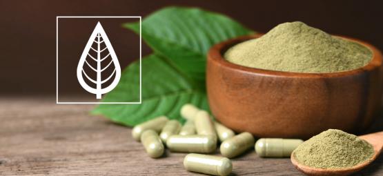 Hvad er forskellen på kratomvarianter?