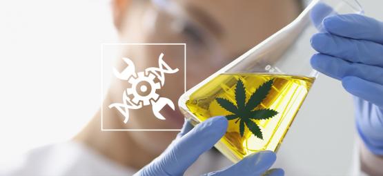 Cannabis i biohacking: En unik tilgang til moderne velvære
