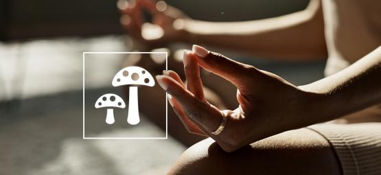 Den ultimative guide til biohacking med psykedeliske og funktionelle svampe