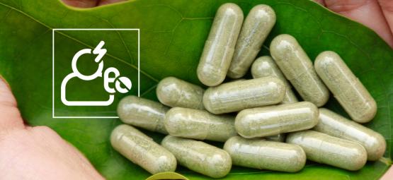 Kratom: Sikkerhed og bivirkninger – det skal du vide