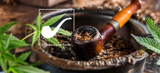 Er Longbottom Leaf i Ringenes herre cannabis?