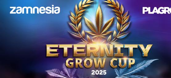 Eternity Grow Cup 2025: En hyldest til årets bedste dyrkninger