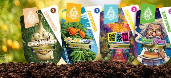 Velkommen til Sektor Z: En klassificeret cannabisopdagelse