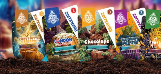 Sortsprofil: Sugar Valley