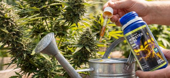 Maksimér væksten med Monster Buds: Et komplet sortiment af gødning til alle vækstfaser