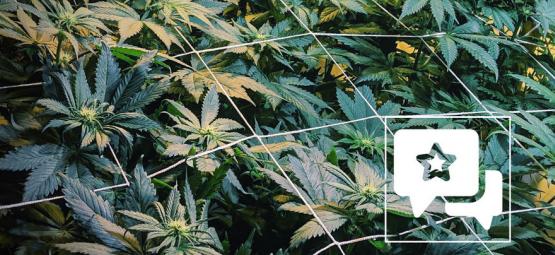 Sortsanmeldelse: Casey Jones