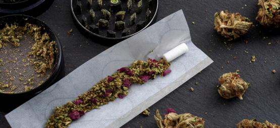 Top 10 tobaksalternativer til spliffs