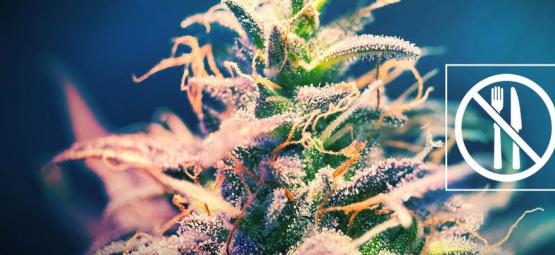Cannabissorter, der ikke giver dig småsult?