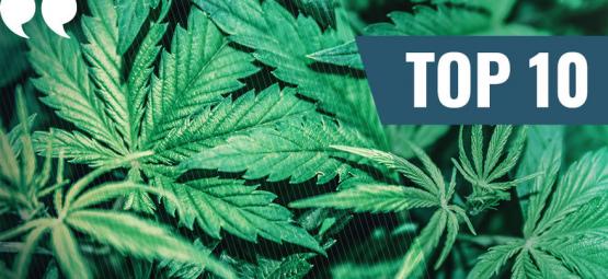 Top 10 bedste marihuana-citater nogensinde