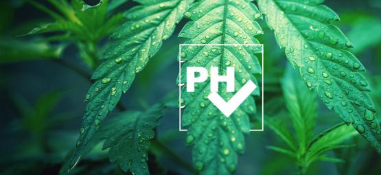 Sådan justerer du pH-niveauet, når du dyrker cannabis