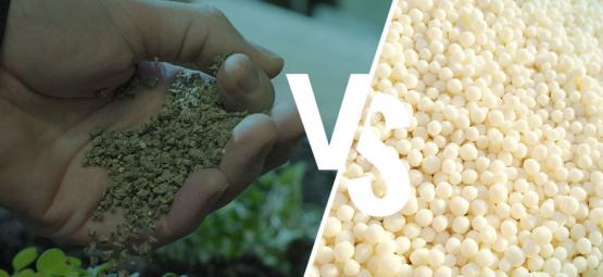 Hvad er forskellen: syntetisk vs. naturlig gødning