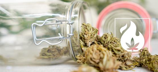 Sådan decarboxylerer du cannabis: 3 metoder