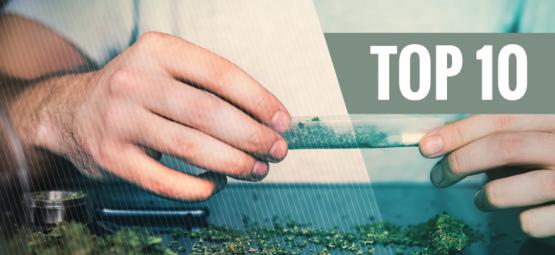 Top 10 grunde til at droppe tobak og ryge ren marihuana