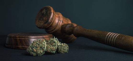 10 grunde til, at alle stoffer bør legaliseres
