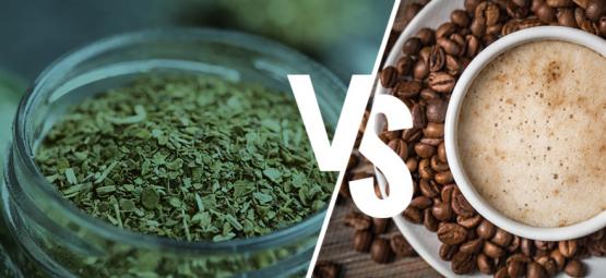 Yerba maté vs. kaffe: bør du skifte?