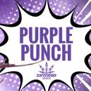 Purple Punch: Smag, styrke og sk&oslash;nhed &ndash; alt i &eacute;n