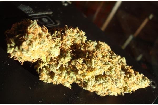 Power Flower (Royal Queen Seeds) Feminiserede