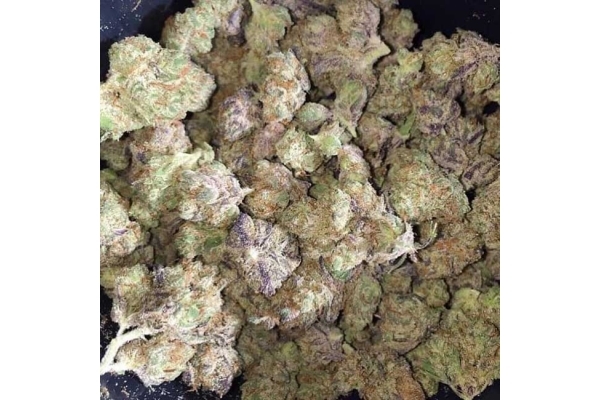 Blueberry Autoflower (Zamnesia Seeds) Feminiserede Blueberry Autoflower (Zamnesia Seeds) Feminiserede