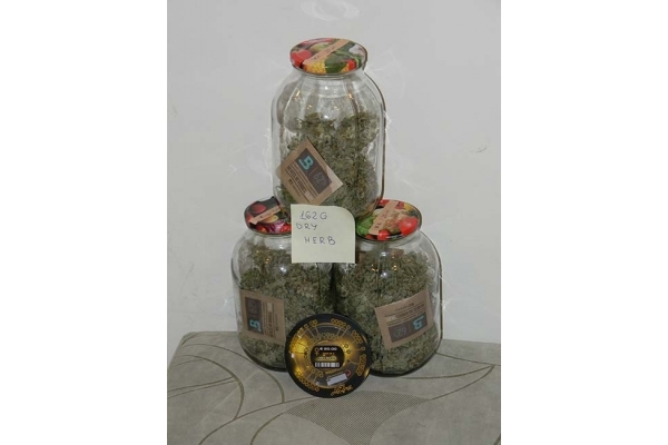 King's Kush Autoflowering (Greenhouse Seeds) Feminiserede King's Kush Autoflowering (Greenhouse Seeds) Feminiserede